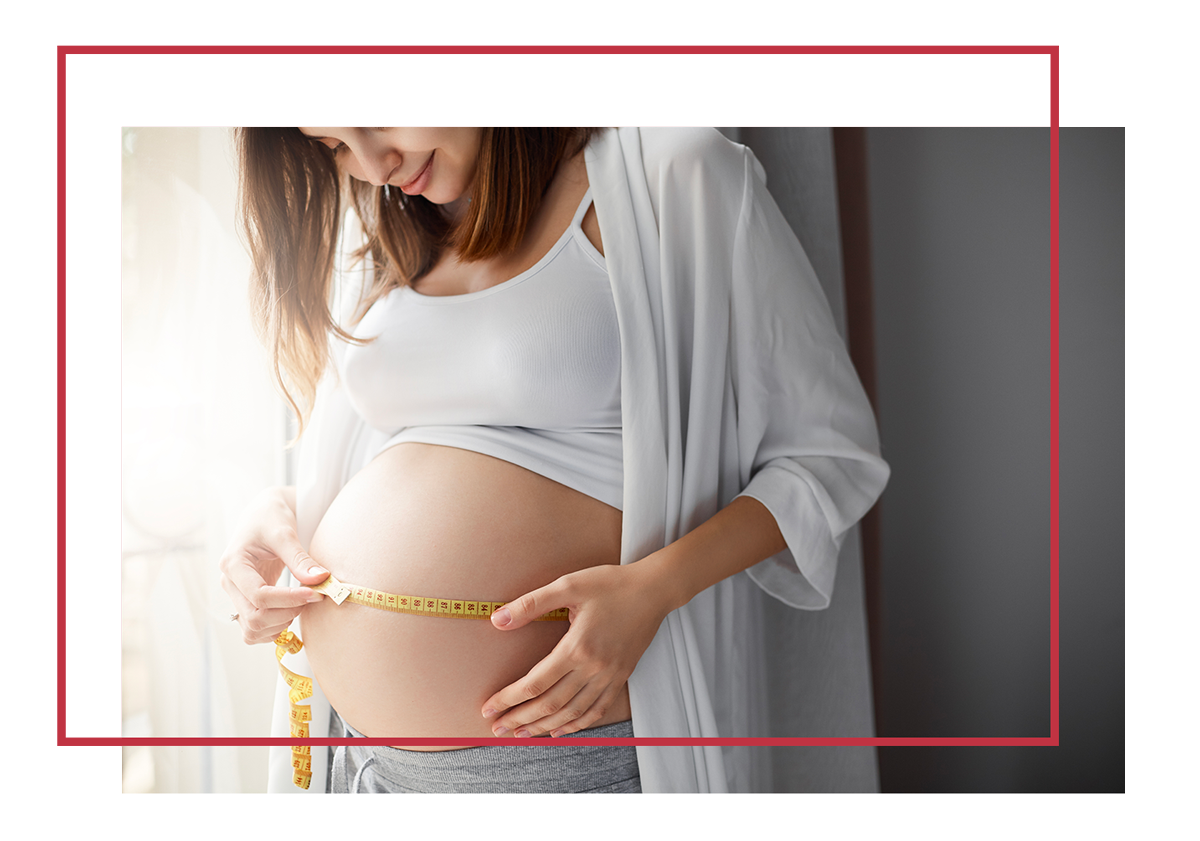 Echographies de grossesse: l'évolution du fœtus semaine par semaine